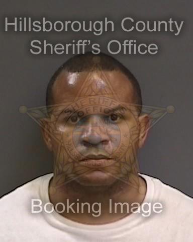 DWAYNE ATALIAN STALLION  Pics