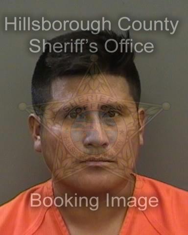 ERICEL PINTO QUIROZ  Info, Photos, Data, and More About ERICEL PINTO QUIROZ  / ERICEL PINTO QUIROZ  Tampa Area