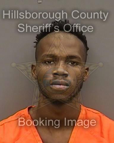 GERVAI STEWART MASON  Pics