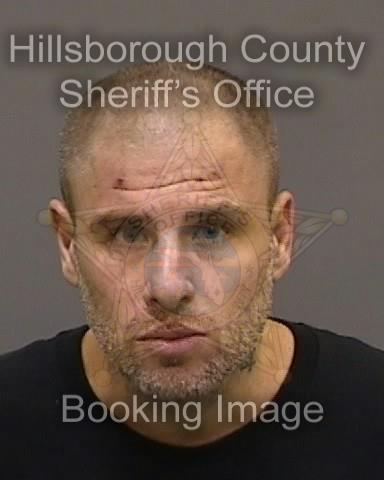 MICHAEL BRUCE ALOIAN  Info, Photos, Data, and More About MICHAEL BRUCE ALOIAN  / MICHAEL BRUCE ALOIAN  Tampa Area