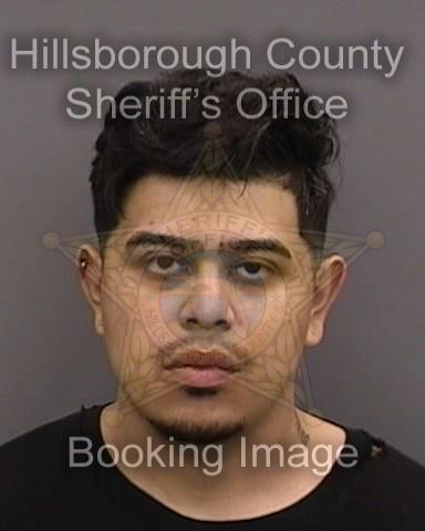 ROMAN PINEDA  Info, Photos, Data, and More About ROMAN PINEDA  / ROMAN PINEDA  Tampa Area