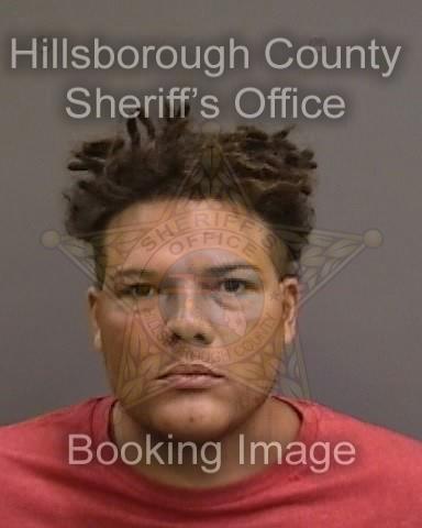 STEPHEN MITCHELL  Pics