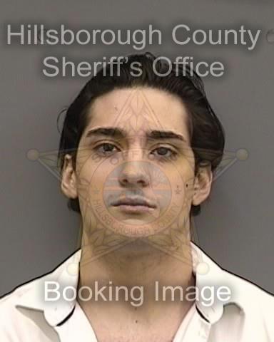 TAYLOR ERICSON SILVA  Pics