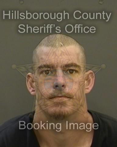 TIMOTHY GOLOGRAM  Pics