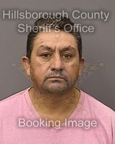 ALVARO GUSTAVO SOSA SAMANO  Info, Photos, Data, and More About ALVARO GUSTAVO SOSA SAMANO  / ALVARO GUSTAVO SOSA SAMANO  Tampa Area