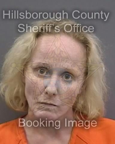 AMANDA CHRISTINE MESERVY  Info, Photos, Data, and More About AMANDA CHRISTINE MESERVY  / AMANDA CHRISTINE MESERVY  Tampa Area