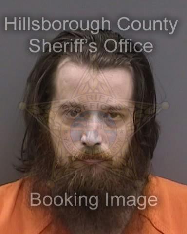 ANDREW PHILLOP BRIDGES  Pics