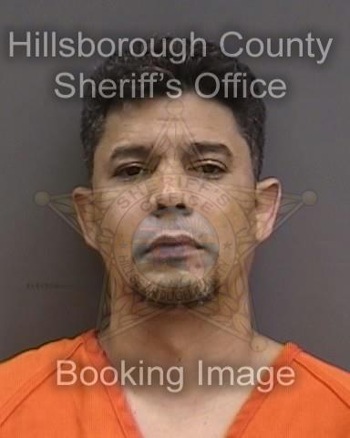 ANIBAL ORTIZ MELENDEZ Info, Photos, Data, and More About ANIBAL ORTIZ MELENDEZ / ANIBAL ORTIZ MELENDEZ Florida ANIBAL ORTIZ MELENDEZ Info, Photos, Data, and More About ANIBAL ORTIZ MELENDEZ / ANIBAL ORTIZ MELENDEZ Tampa Area
