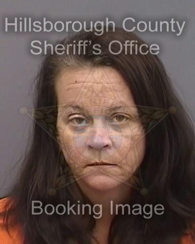 DEIRDRA LYNN WILSON  Info, Photos, Data, and More About DEIRDRA LYNN WILSON  / DEIRDRA LYNN WILSON  Tampa Area