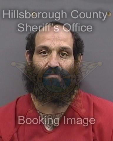 FADY SALEH SULEIMAN  Pics