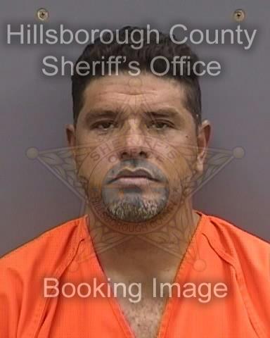 FERNANDO AGUIRRE SEGNINI  Pics