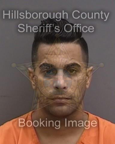 LISARDO VALDES LLAUGERT  Info, Photos, Data, and More About LISARDO VALDES LLAUGERT  / LISARDO VALDES LLAUGERT  Tampa Area