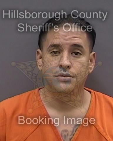 MICHAEL DELVALLE  Pics