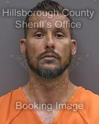 MICHAEL SCOTT ELLIOTT  Info, Photos, Data, and More About MICHAEL SCOTT ELLIOTT  / MICHAEL SCOTT ELLIOTT  Tampa Area