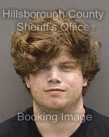 NICHOLAS DAVID FOUNTAINE  Info, Photos, Data, and More About NICHOLAS DAVID FOUNTAINE  / NICHOLAS DAVID FOUNTAINE  Tampa Area