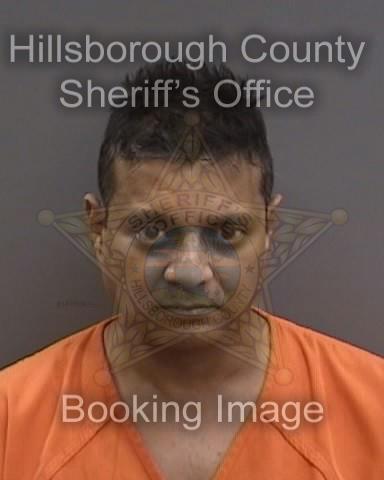 NIRAJ SANGHVI  Info, Photos, Data, and More About NIRAJ SANGHVI  / NIRAJ SANGHVI  Tampa Area