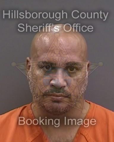 ROBERT BIZZOCO  Info, Photos, Data, and More About ROBERT BIZZOCO  / ROBERT BIZZOCO  Tampa Area