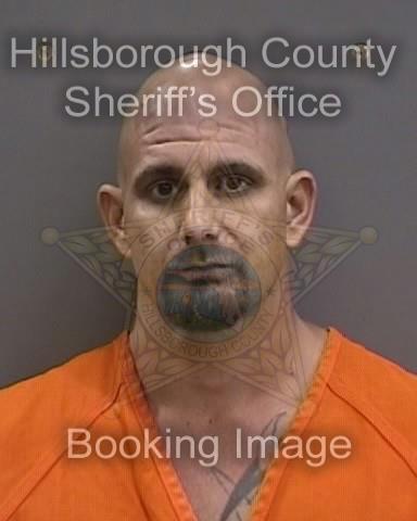 ROBERT MICHAEL TOMER  Pics