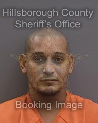 WELLY RAMON ROSADO ROBLES  Pics