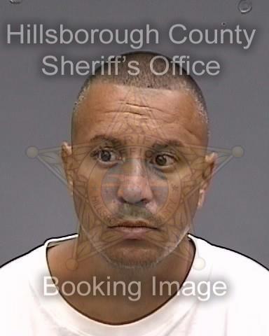 WILFREDO GABRIEL ROSARIO  Pics