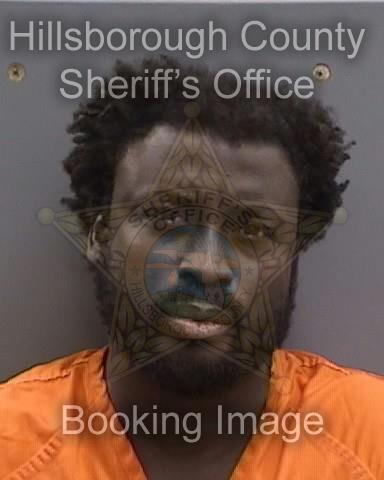 AARON DANE LITTLE  Info, Photos, Data, and More About AARON DANE LITTLE  / AARON DANE LITTLE  Tampa Area