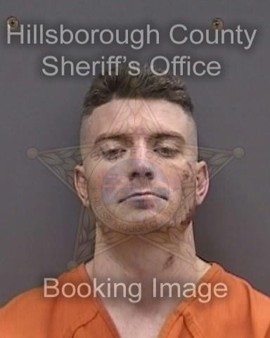 AUSTIN ALLEN HALE  Info, Photos, Data, and More About AUSTIN ALLEN HALE  / AUSTIN ALLEN HALE  Tampa Area