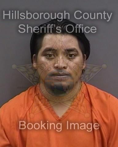 DANIEL LOPEZ SANCHEZ  Info, Photos, Data, and More About DANIEL LOPEZ SANCHEZ  / DANIEL LOPEZ SANCHEZ  Tampa Area