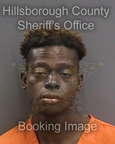 DEANDRE MALIK HARRIS  Info, Photos, Data, and More About DEANDRE MALIK HARRIS  / DEANDRE MALIK HARRIS  Tampa Area