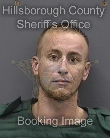 DILLON WERNER PALMER  Info, Photos, Data, and More About DILLON WERNER PALMER  / DILLON WERNER PALMER  Tampa Area