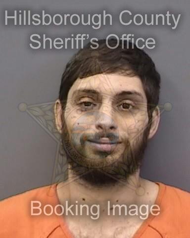 DOMINIC SANTO BIFULCO  Pics