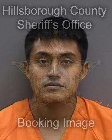 ELDY WILMER CAAL XOL  Pics