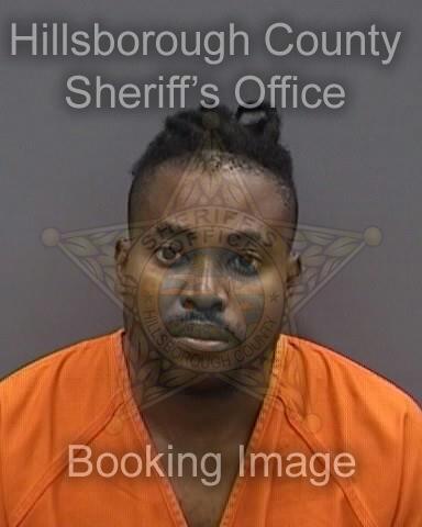 GABRIEL STEVENS  Pics