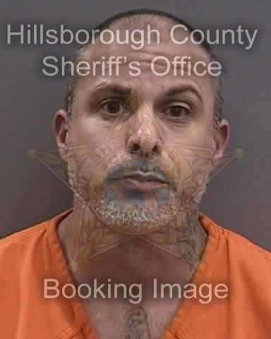 GREGORY NELSON RAINES  Info, Photos, Data, and More About GREGORY NELSON RAINES  / GREGORY NELSON RAINES  Tampa Area