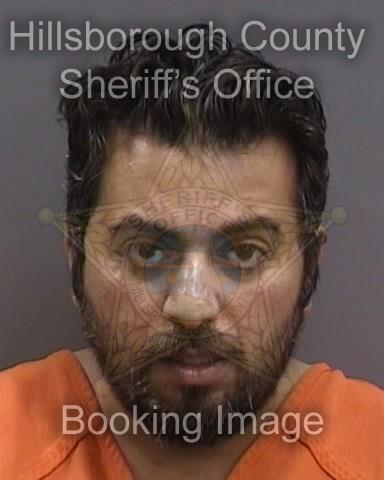 IYAD ABDEL-HALIM SHAOUT  Pics