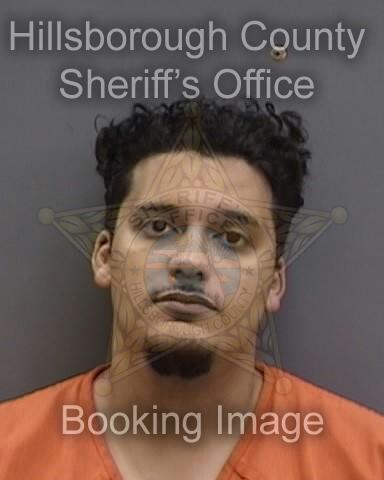 KHALEB FERNANDEZ  Pics