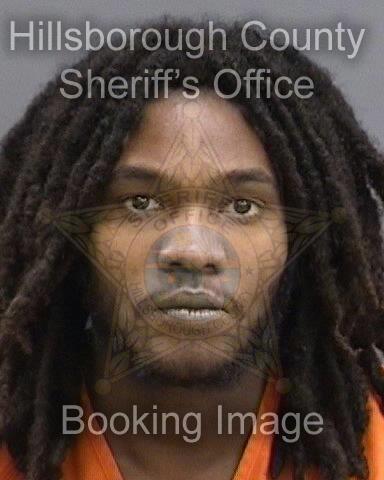 LA QUAVIONTE FIELDS  Pics