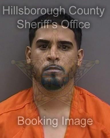 LEONARDO RACHIT SAFE  Pics