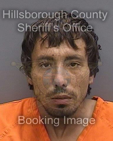 MAKIEL BERMUDEZ POMO  Pics