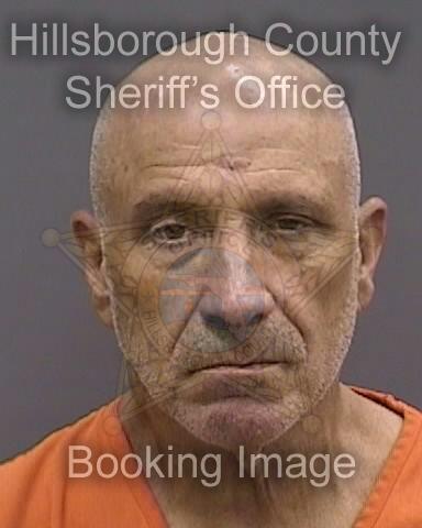 MICHAEL DAVID SCIONTI  Pics