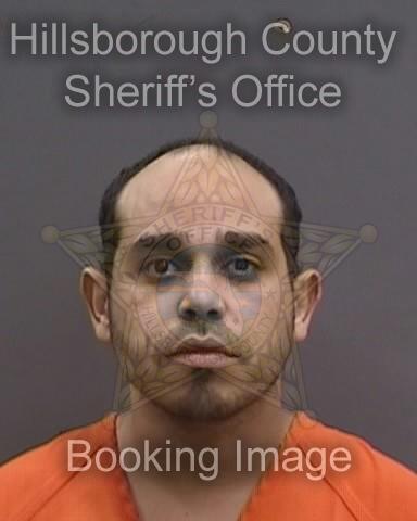 MOHAMED SELIM MOURALI  Pics