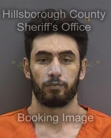 MOHANNAD MAHMOUD  Pics