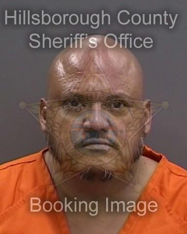 NELSON ROBERTO CASTILLO  Info, Photos, Data, and More About NELSON ROBERTO CASTILLO  / NELSON ROBERTO CASTILLO  Tampa Area