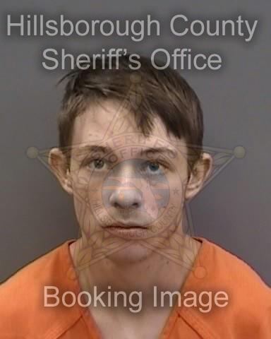 NOAH HASLBECK  Info, Photos, Data, and More About NOAH HASLBECK  / NOAH HASLBECK  Tampa Area