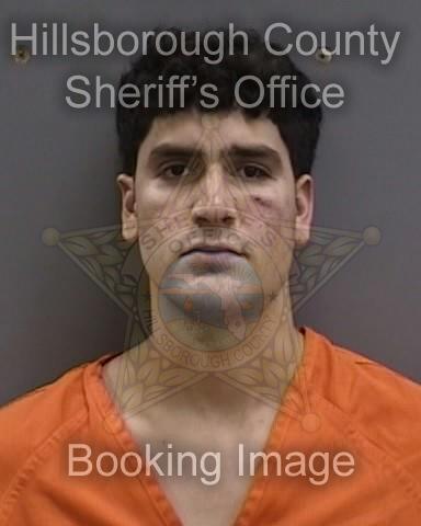 RAUL EDUARDO CERDA POLO  Info, Photos, Data, and More About RAUL EDUARDO CERDA POLO  / RAUL EDUARDO CERDA POLO  Tampa Area