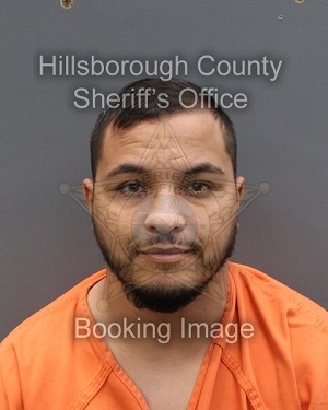 AMIR MOHAMMED ABUELENEN  Pics