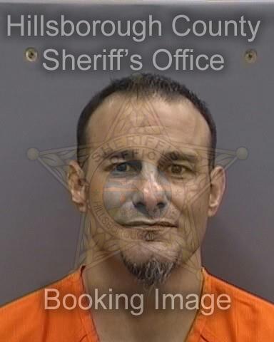 ANDY RYAN INTROINI  Pics