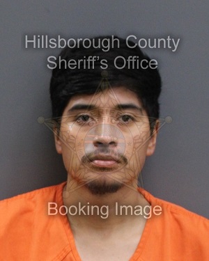 ARNULFO NAPOLEON LOPEZ SALES  Pics