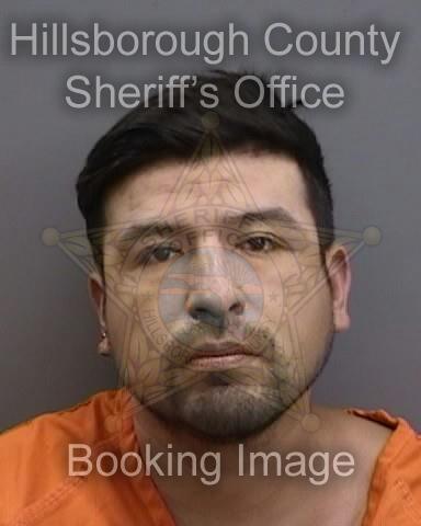 BERNARDO ORTEGA  Pics