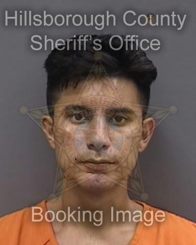 DAVID HINCAPIE  Pics