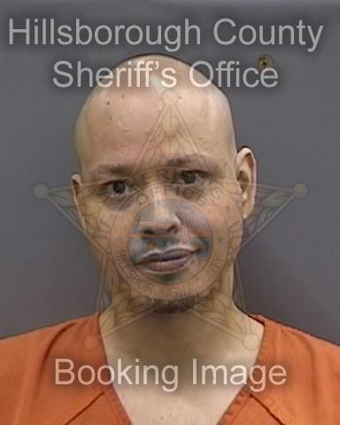 DAVID VELASQUEZ  Pics